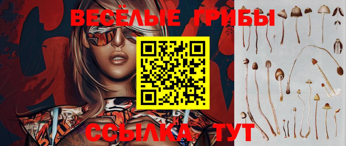 Псилоцибиновые грибы Psilocybe Губаха